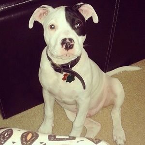 Meet your Posher, Floyd